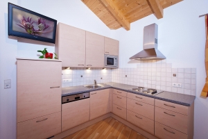 Bilder Appartement Engadin